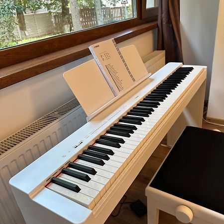 Peles Green Apartment & Piano Κλουζ-Ναπόκα Εξωτερικό φωτογραφία