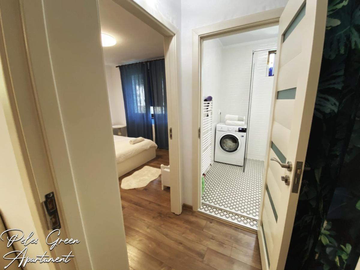 Peles Green Apartment & Piano Κλουζ-Ναπόκα Εξωτερικό φωτογραφία
