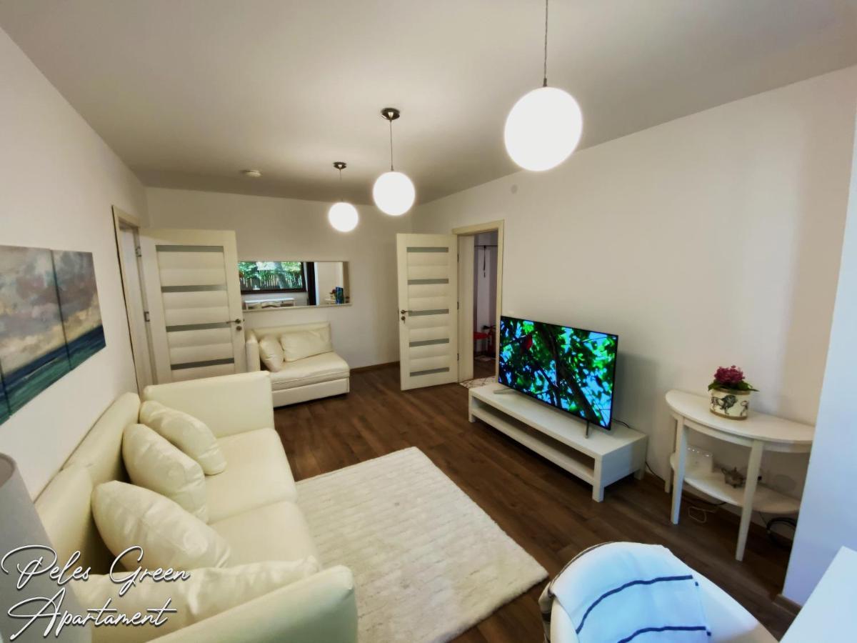 Peles Green Apartment & Piano Κλουζ-Ναπόκα Εξωτερικό φωτογραφία