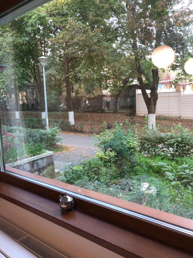 Peles Green Apartment & Piano Κλουζ-Ναπόκα Εξωτερικό φωτογραφία