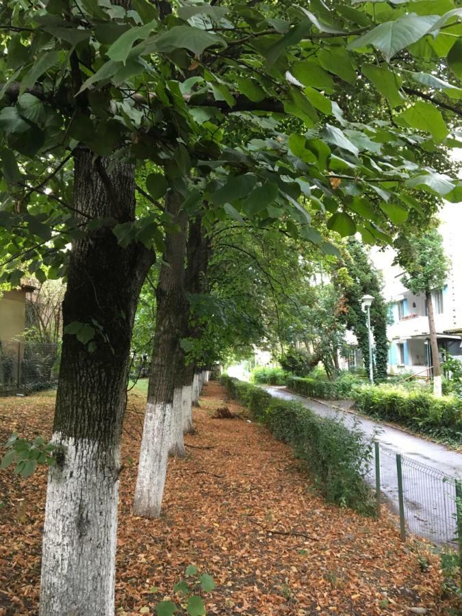 Peles Green Apartment & Piano Κλουζ-Ναπόκα Εξωτερικό φωτογραφία